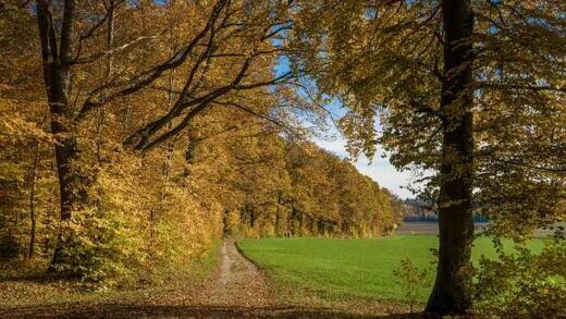 Dlaczego oczko wodne zamula się co roku? Diagnoza
